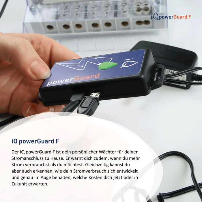 iQ powerGuard F für Ferraris Stromzähler