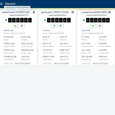iQ powerGuard F für Ferraris Stromzähler