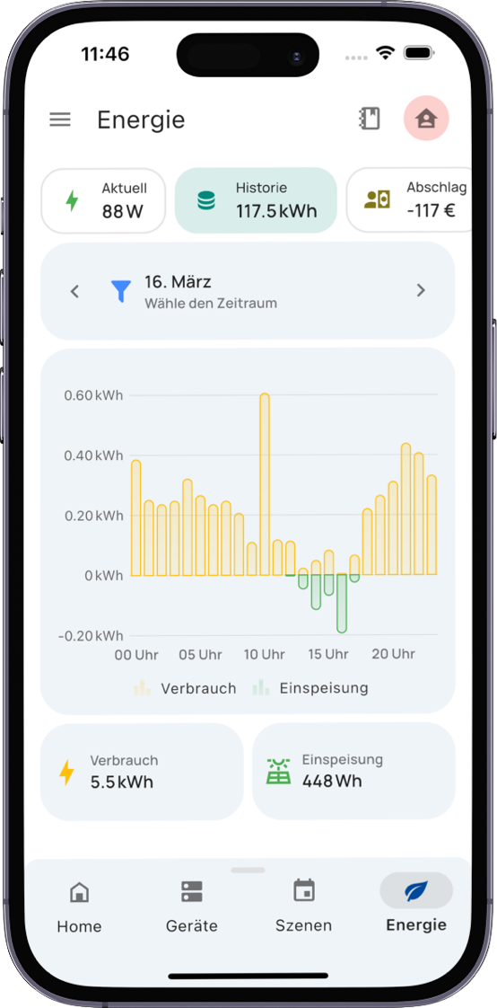 everHome EcoTracker IR - Kompatibel mit Shelly, Hoymiles u.v.m.