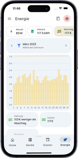 everHome EcoTracker - Kompatibel mit Shelly, Hoymiles u.v.m.